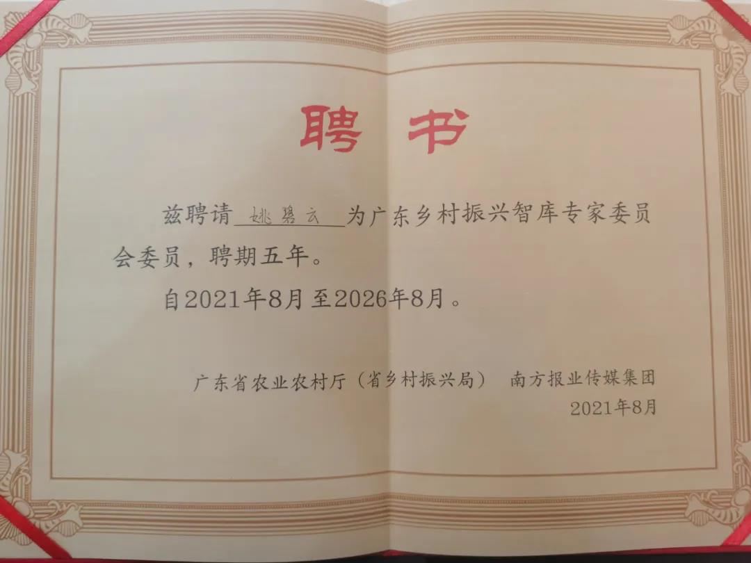博时成长领航混合C